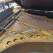 1925 Mahogany Steinway model M baby grand piano - Grand Pianos